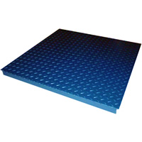 WP Industrial Weighing Platform